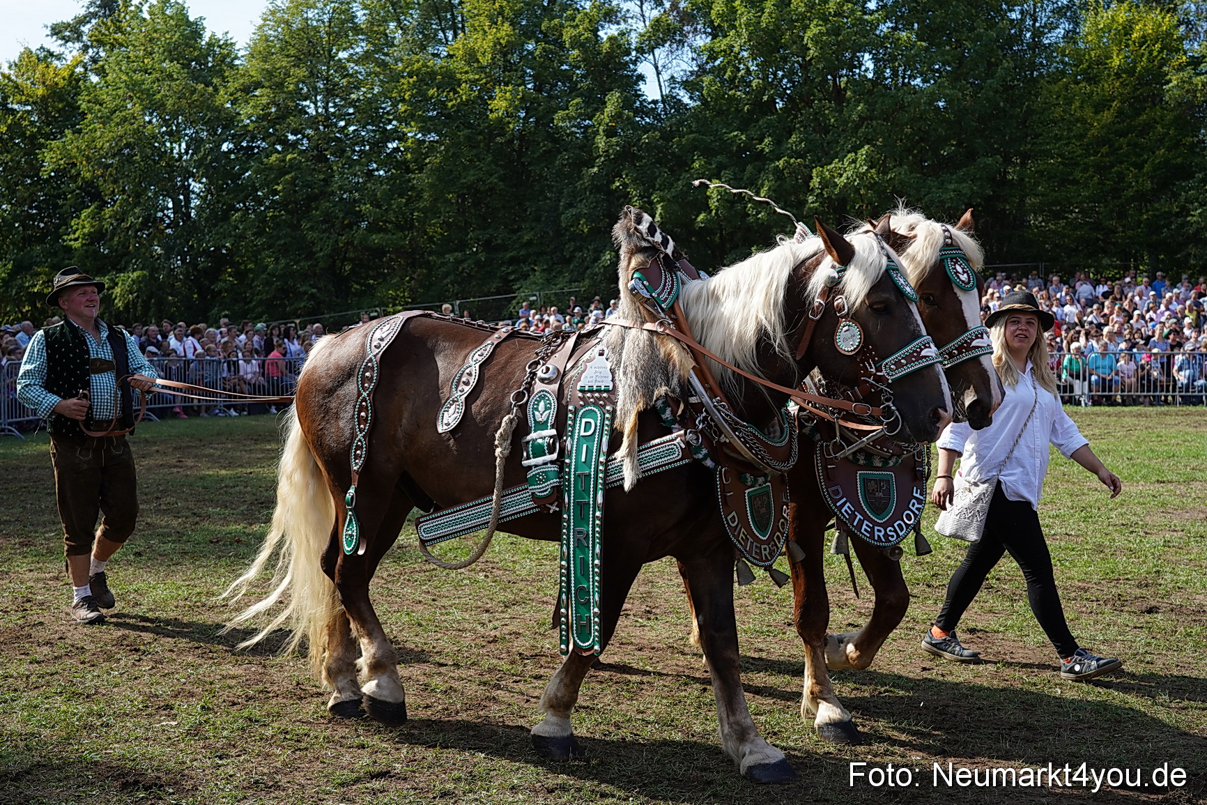 Pferde und Fohlenschau 2022 0188 
